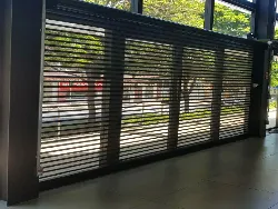 Porta Automática Transvision Com Pintura Imagem